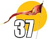 சிவமகுடம் - 37