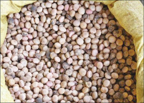 நீங்கள் கேட்டவை: துரித மின் இணைப்புத் திட்டம் உள்ளதா?