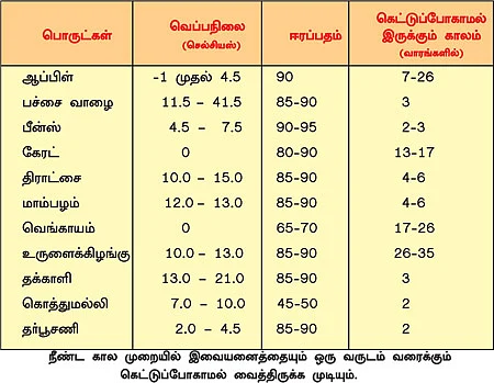 ஃப்ரிஜ்ஜுக்குள் மார்க்கெட்!