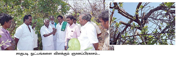 ''கூட்டு மரங்களால் கூடுதல் லாபம்!''