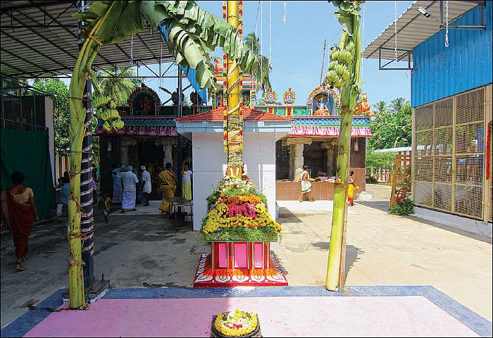 நிலப் பிரச்னைகள் தீரும் நிம்மதி பிறக்கும்! - மேல்பொதட்டூர் தரணி வராகர் தரிசனம்