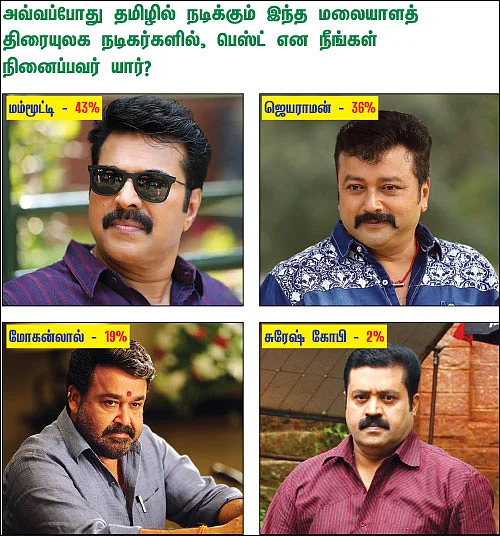 சர்வே கார்னர்