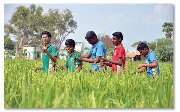 வயலுக்குச் சென்றோம் விவசாயம் படித்தோம்!