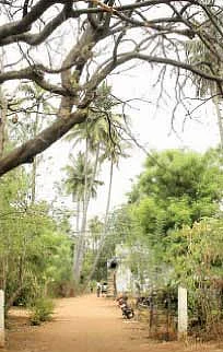 என் ஊர் - நேரு ஆட்சிக்கு எதிராக இரண்டு சுண்டெலிகள் !