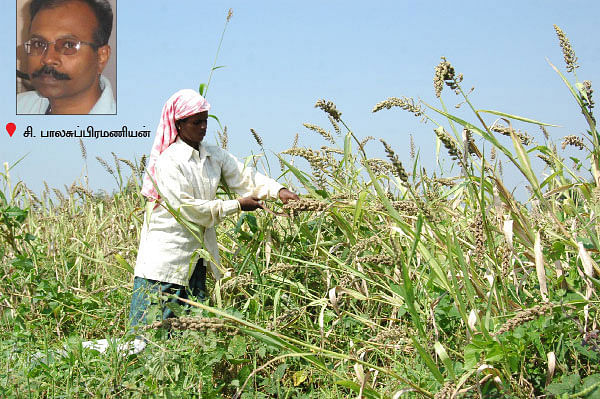 நீங்கள் கேட்டவை : ''மேல்நோக்கு நாள், கீழ்நோக்கு நாள்... என்பவை மூடநம்பிக்கையா?''
