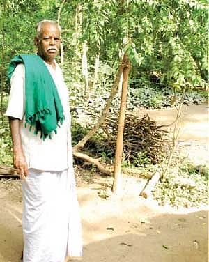 மாட்டு வண்டி கட்டிக்கிட்டு மெளனப் படம் பார்க்கப் போவோம் !