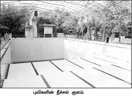புலித்தடம் தேடி...