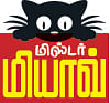 மிஸ்டர் மியாவ்