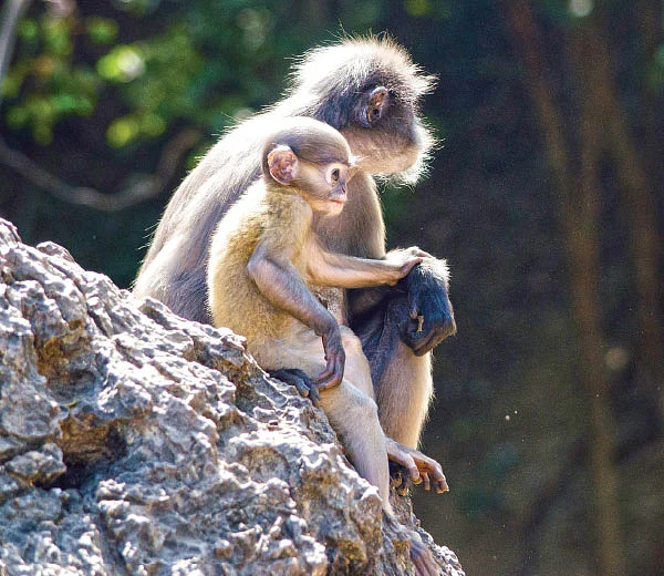 ஈரம் - கவிதை