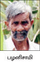 நீங்கள் கேட்டவை - மல்பெரியை வரப்பு ஓரத்தில் வளர்க்க முடியுமா ?