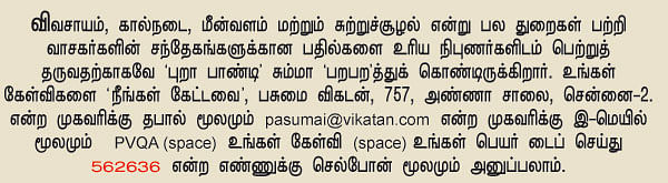 நீங்கள் கேட்டவை - மல்பெரியை வரப்பு ஓரத்தில் வளர்க்க முடியுமா ?