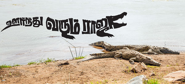 மாயா டீச்சரின் மந்திரக் கம்பளம் !