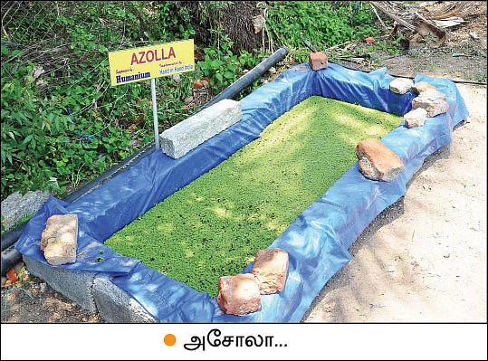இயற்கை விவசாயத்துக்கு வழிகாட்டும் மாதிரிப் பண்ணை!