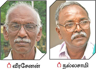 தேங்காய் விலை வீழ்ச்சி... தீர்வு என்ன?