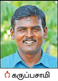 ஆடிப் பட்டத்துக்கு ஏற்ற சேனைக்கிழங்கு!