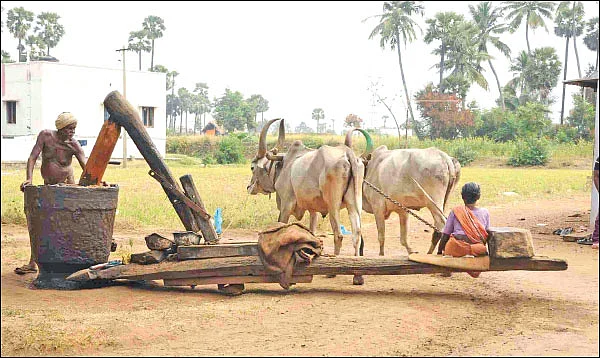 விளையும் விலையும்! - சந்தைக்கு வழிகாட்டும் தொடர் - 3