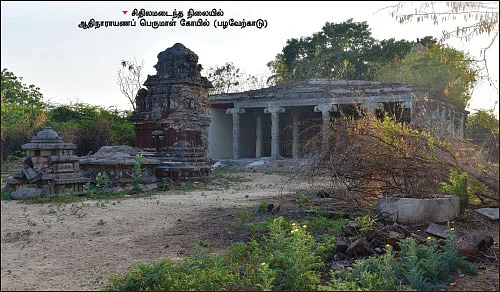 நம் ஊர்... நம் கதைகள் - இடிந்த கோட்டையும் எதிர்வரும் பறவைகளும்!