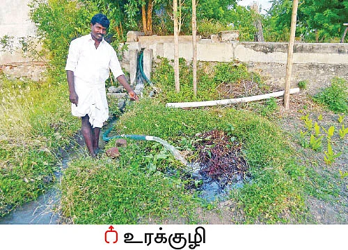 இனிப்பான லாபம் கொடுக்கும் ‘இயற்கை’ நிலக்கடலை + ஊடுபயிர்கள்...