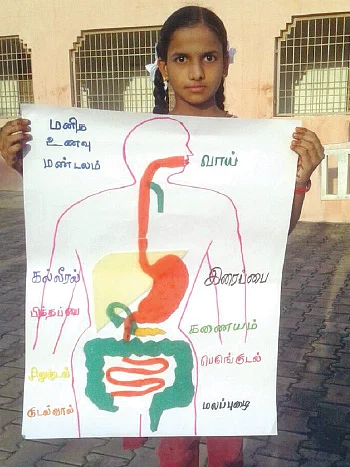 எஃப்.ஏ புராஜெக்ட் போட்டி முடிவுகள் இந்த இதழிலும் தொடர்கின்றன.