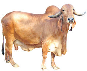 நீங்கள் கேட்டவை