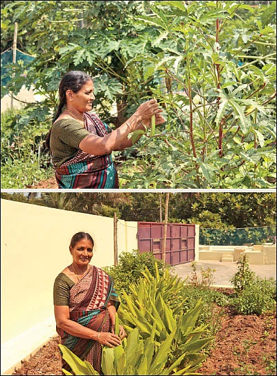 வேஸ்ட் டீகம்போஸர்... அங்கக விவசாயிகளின் அமுதசுரபி!