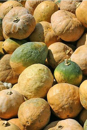 இயற்கை டாக்டர்