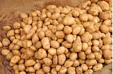 உருளைக்கிழங்கு, இருப்பு வேண்டாம்!