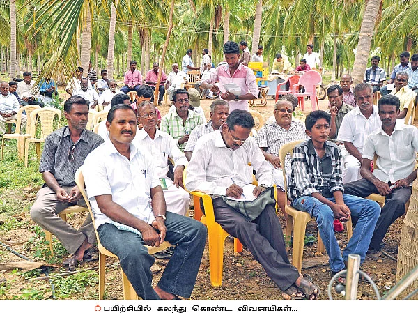 கவாத்து... மா மகசூலை அதிகரிக்கும் மந்திரம்..