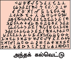 எனது இந்தியா!