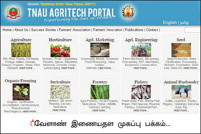 இணையதளத்தில் சந்தை நிலவரங்கள்!