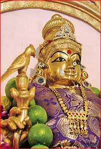 கேள்வி-பதில் : சேஷாத்ரிநாத சாஸ்திரிகள்