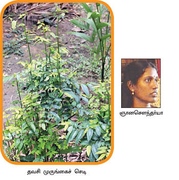 நீங்கள் கேட்டவை