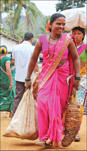 மண்புழு மன்னாரு: சத்து நிறைந்த சர்க்கரைவள்ளியும் மதிப்பு மிகுந்த மரவள்ளியும்!