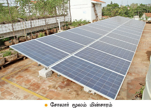 வீட்டுக்குள் விவசாயம் - 10