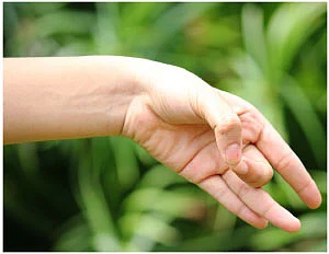 விரல்கள் செய்யும் விந்தை