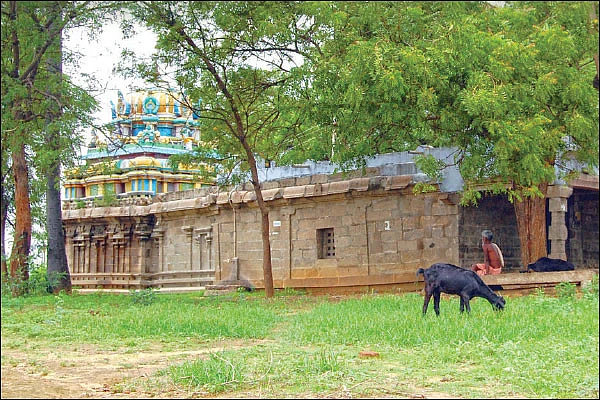 கல்யாண வரம் தருவார் `காட்சி தந்த ராமன்’