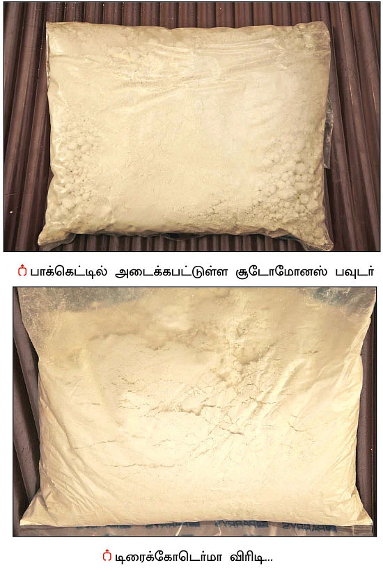 பயிர்களின் பாதுகாப்புப் படை! - உதவிக்கு வரும் உயிரியல் - 8