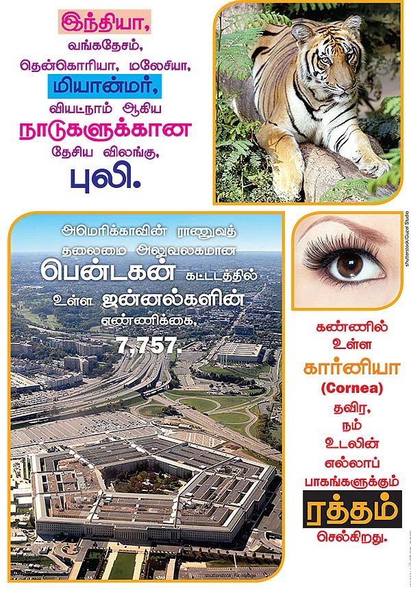 சூப்பர் 6