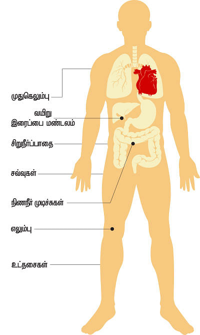 ஒன்றிணைவோம்...
