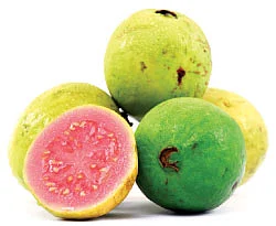 ஆறாம் திணை - 24