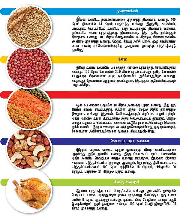 எல்லாத்துக்கும் தேவை புரதம்!