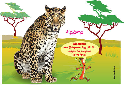 மாயா டீச்சரின் மந்திரக் கம்பளம்!