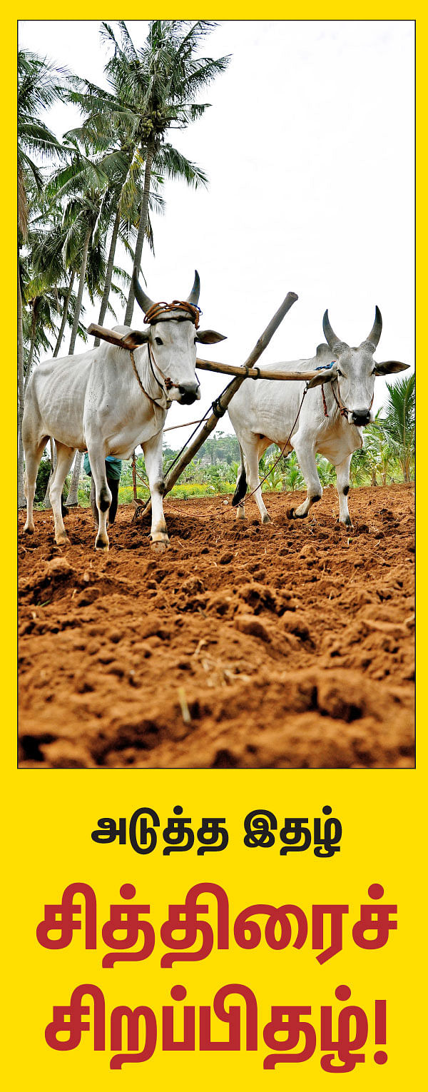 அடுத்த இதழ்