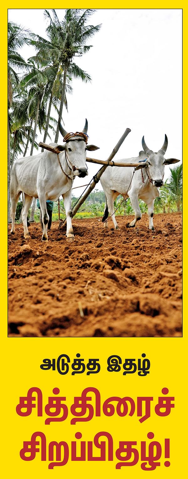 அடுத்த இதழ்