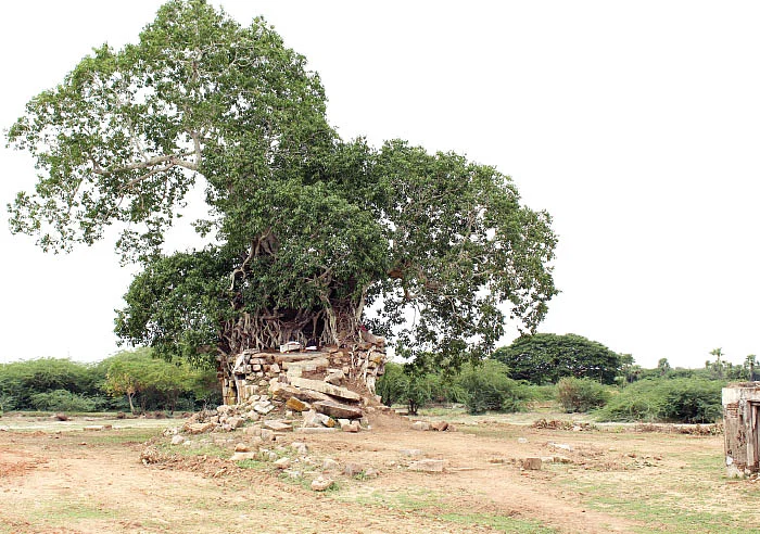 ஆலயம் தேடுவோம்