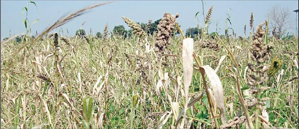 ஆறாம் திணை - 45