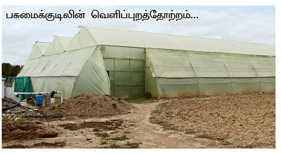 25 சென்ட் நிலத்தில், ஒரு ஏக்கர் மகசூல்...