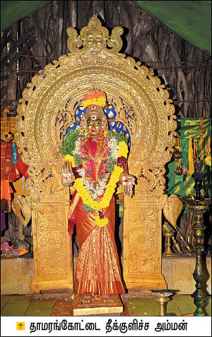நல்லம்மா! | theekuchi amman: Divine human Gods stories - Aval Vikatan 