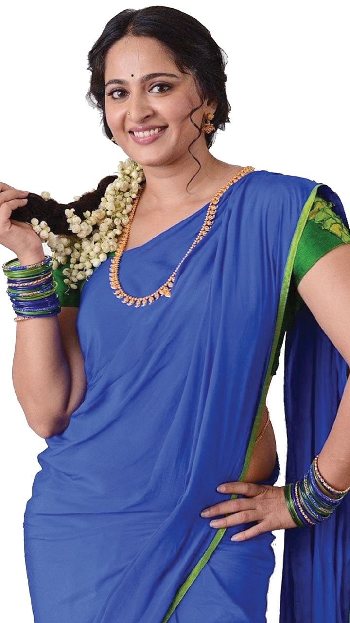 மிஸ்டர் மியாவ்