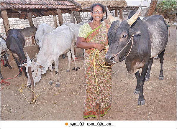 காய்கறிகள்... எண்ணெய்... அரிசி... பால்... அனைத்தும் கிடைக்கும் 5 ஏக்கர் தோட்டம்!